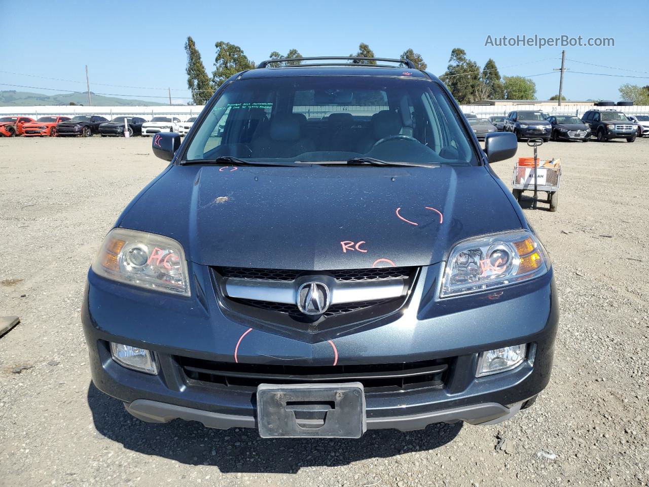 2005 Acura Mdx Touring Gray vin: 2HNYD18885H505563