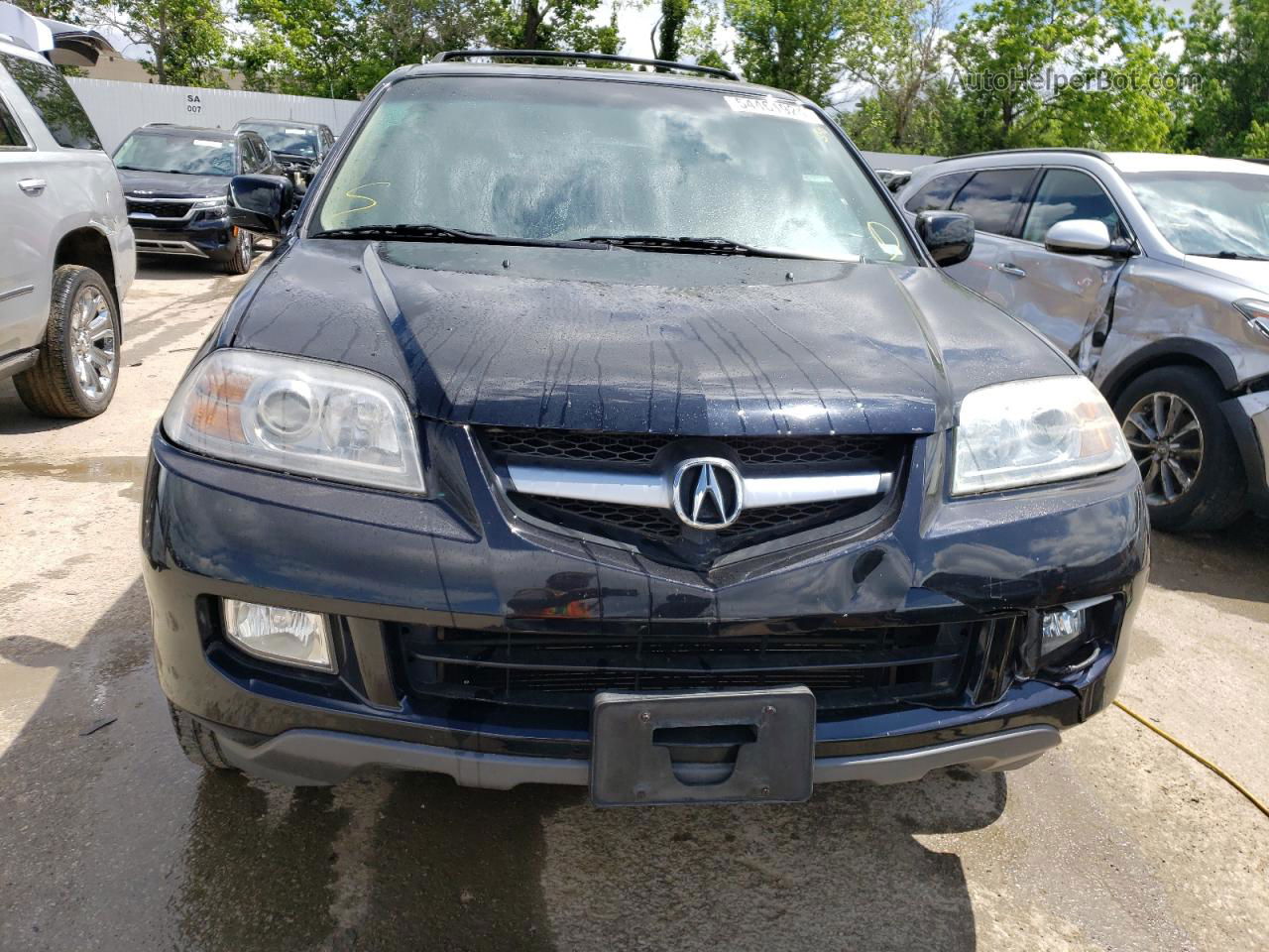 2005 Acura Mdx Touring Black vin: 2HNYD18915H504179