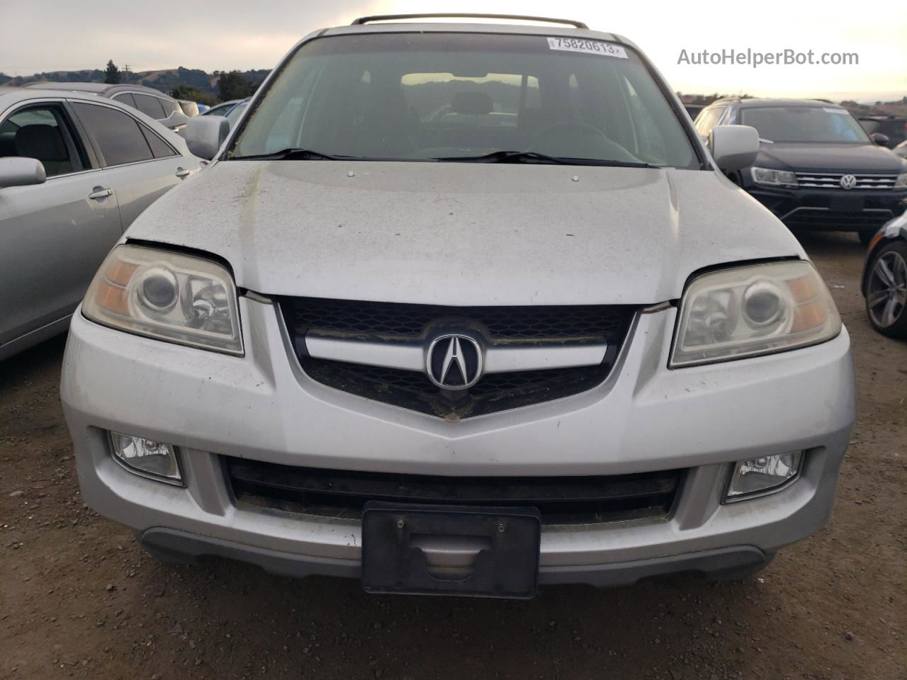 2005 Acura Mdx Touring Silver vin: 2HNYD189X5H521594