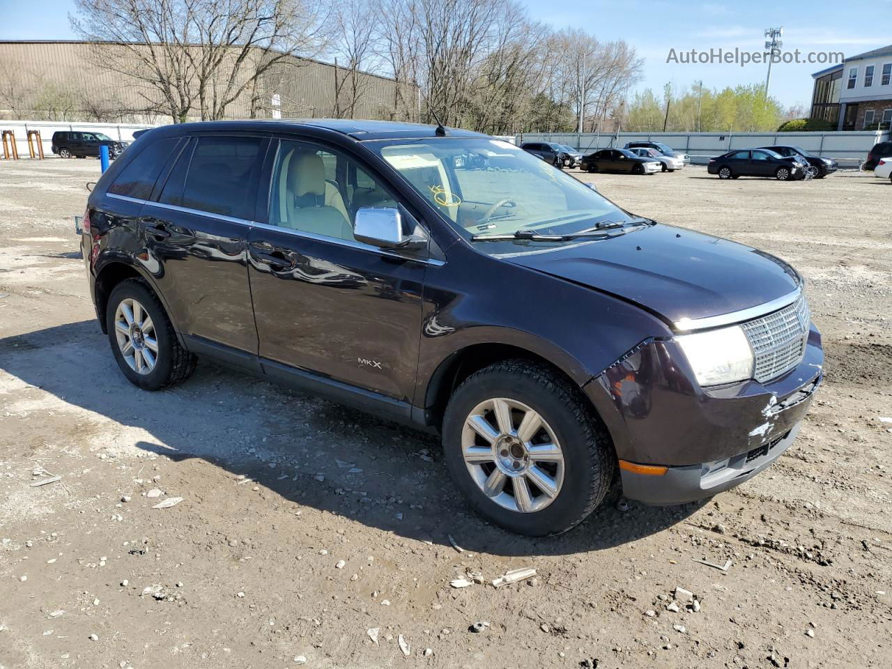 2007 Lincoln Mkx  Purple vin: 2LMDU68C47BJ29598