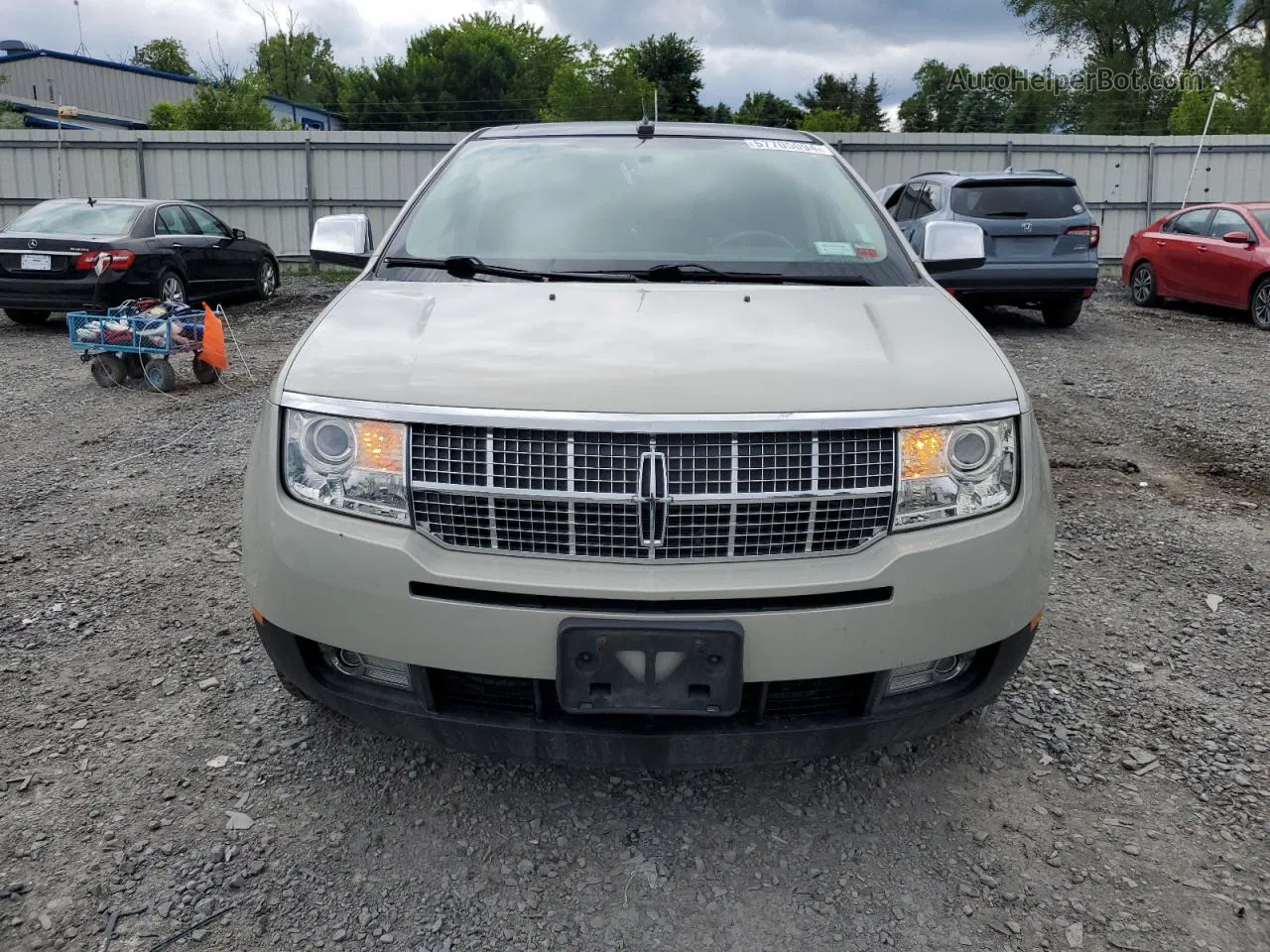 2007 Lincoln Mkx  Beige vin: 2LMDU68C87BJ21925