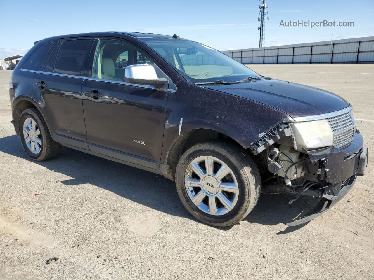 2007 Lincoln Mkx  Фиолетовый vin: 2LMDU88C47BJ10321