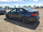 2010 Toyota Corolla Xrs Black vin: 2T1BE4EE6AC031802