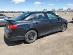 2010 Toyota Corolla Xrs Черный vin: 2T1BE4EE6AC031802