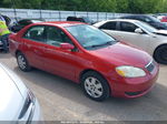 2005 Toyota Corolla Le Red vin: 2T1BR32E55C499965