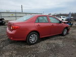 2010 Toyota Corolla Base Темно-бордовый vin: 2T1BU4EE0AC221775