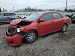 2010 Toyota Corolla Base Темно-бордовый vin: 2T1BU4EE0AC221775