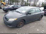 2010 Toyota Corolla Le Gray vin: 2T1BU4EE0AC285654