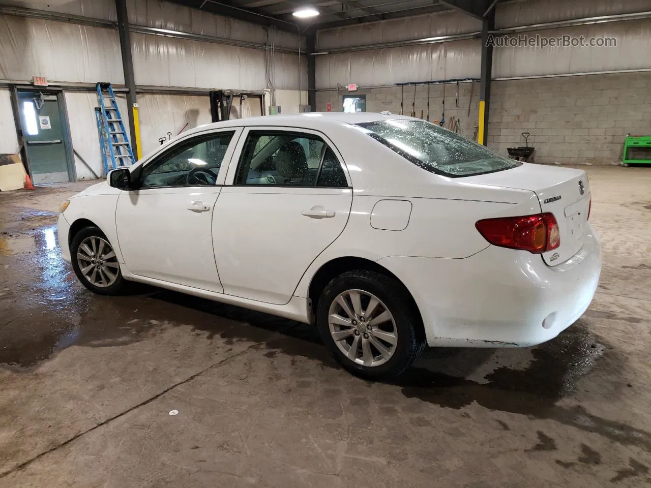 2010 Toyota Corolla Base White vin: 2T1BU4EE0AC311931