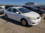 2010 Toyota Corolla Base White vin: 2T1BU4EE0AC343665