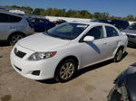 2010 Toyota Corolla Base White vin: 2T1BU4EE0AC343665