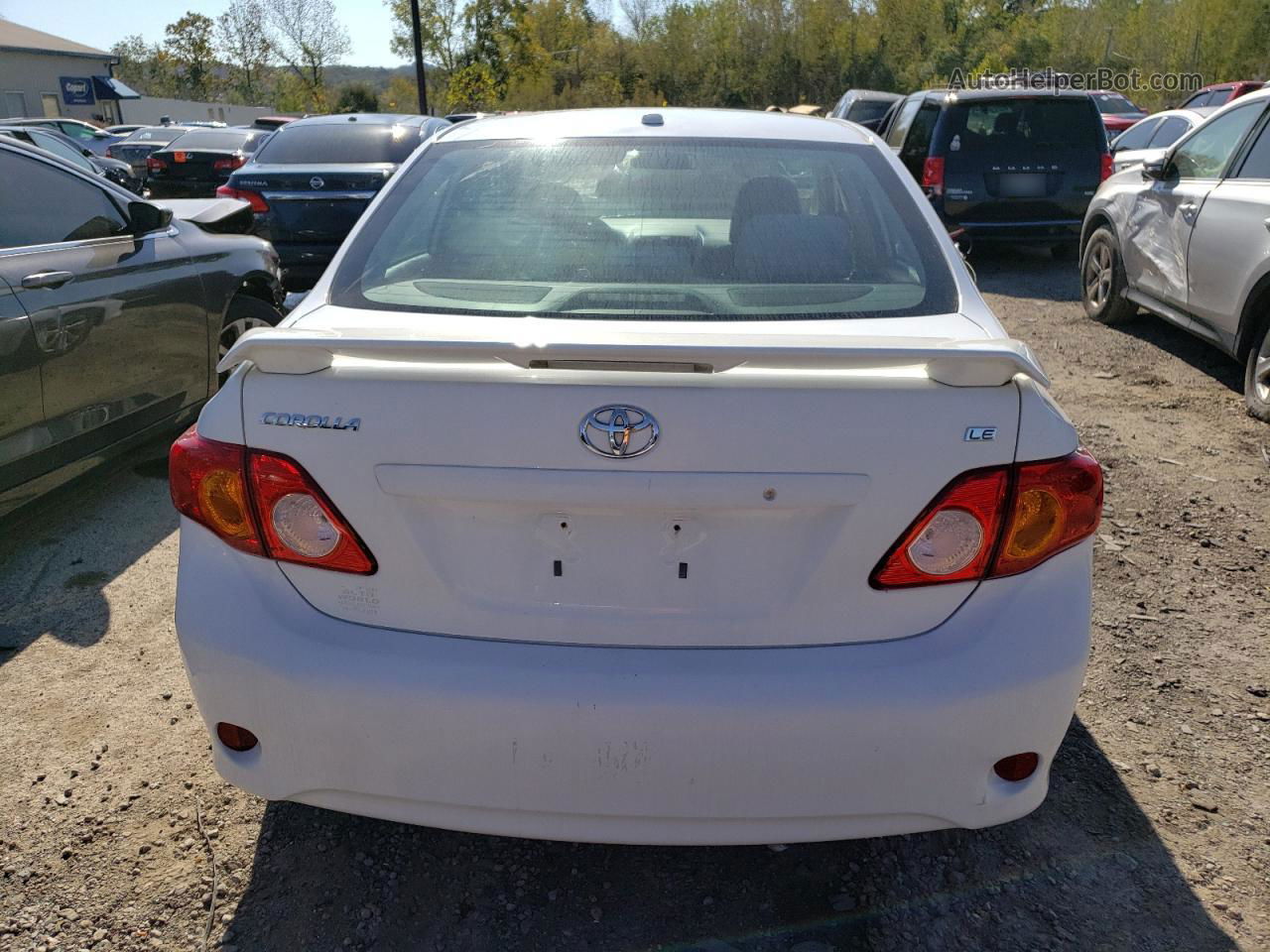 2010 Toyota Corolla Base White vin: 2T1BU4EE0AC343665