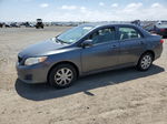 2010 Toyota Corolla Base Серый vin: 2T1BU4EE0AC347635