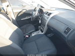 2010 Toyota Corolla S Серый vin: 2T1BU4EE0AC398214