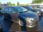 2010 Toyota Corolla S Gray vin: 2T1BU4EE0AC398214