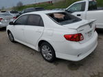 2010 Toyota Corolla Base White vin: 2T1BU4EE0AC501700