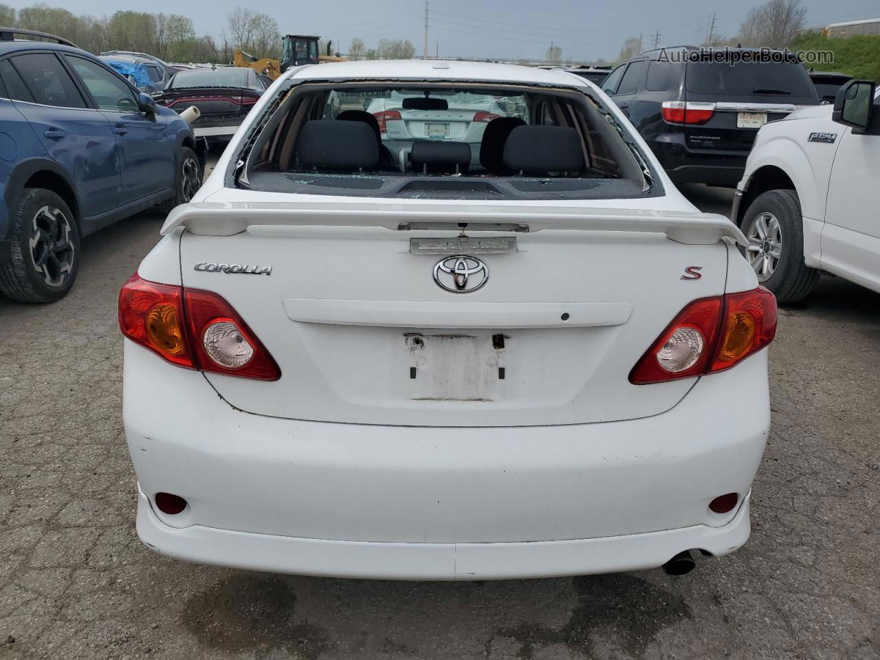 2010 Toyota Corolla Base Белый vin: 2T1BU4EE0AC501700