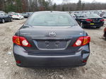 2010 Toyota Corolla Base Gray vin: 2T1BU4EE0AC503575