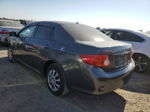 2010 Toyota Corolla Base Gray vin: 2T1BU4EE0AC518206