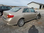 2010 Toyota Corolla Base Tan vin: 2T1BU4EE0AC528492