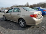 2010 Toyota Corolla Base Tan vin: 2T1BU4EE0AC528492