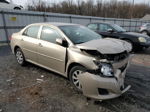 2010 Toyota Corolla Base Tan vin: 2T1BU4EE0AC528492