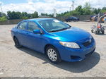 2010 Toyota Corolla Le Blue vin: 2T1BU4EE1AC258463