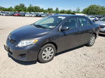 2010 Toyota Corolla Base Gray vin: 2T1BU4EE1AC281886