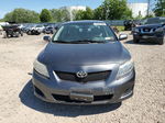 2010 Toyota Corolla Base Gray vin: 2T1BU4EE1AC281886