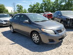 2010 Toyota Corolla Base Gray vin: 2T1BU4EE1AC281886