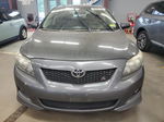 2010 Toyota Corolla Base Gray vin: 2T1BU4EE1AC288014