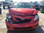 2010 Toyota Corolla Base Красный vin: 2T1BU4EE1AC303451