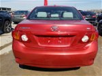 2010 Toyota Corolla Base Red vin: 2T1BU4EE1AC303451