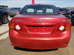 2010 Toyota Corolla Base Красный vin: 2T1BU4EE1AC303451