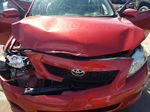 2010 Toyota Corolla Base Red vin: 2T1BU4EE1AC303451