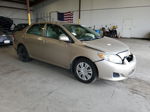 2010 Toyota Corolla Base Бежевый vin: 2T1BU4EE1AC313476