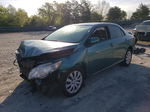 2010 Toyota Corolla Base Green vin: 2T1BU4EE1AC316975