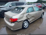 2010 Toyota Corolla Le Gold vin: 2T1BU4EE1AC380613