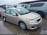 2010 Toyota Corolla Le Gold vin: 2T1BU4EE1AC380613