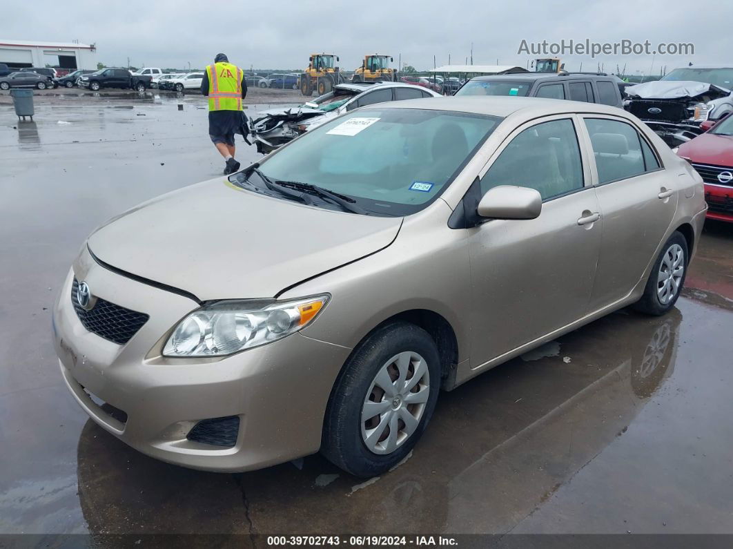 2010 Toyota Corolla Le Gold vin: 2T1BU4EE1AC380613