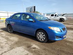 2010 Toyota Corolla Base Синий vin: 2T1BU4EE1AC519347