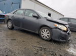 2010 Toyota Corolla Base Gray vin: 2T1BU4EE1AC533121