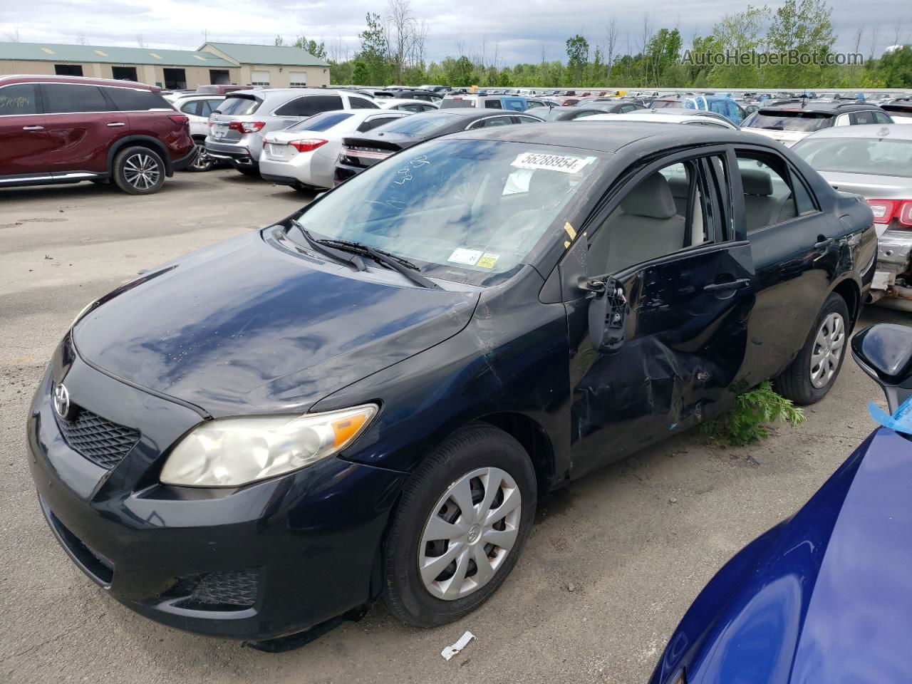 2010 Toyota Corolla Base Black vin: 2T1BU4EE2AC245530