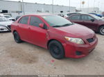 2010 Toyota Corolla Le Red vin: 2T1BU4EE2AC286529