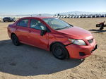 2010 Toyota Corolla Base Red vin: 2T1BU4EE2AC322266