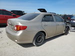 2010 Toyota Corolla Base Бежевый vin: 2T1BU4EE2AC383083