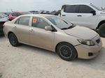 2010 Toyota Corolla Base Золотой vin: 2T1BU4EE2AC410900