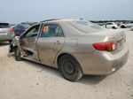 2010 Toyota Corolla Base Золотой vin: 2T1BU4EE2AC410900