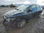 2010 Toyota Corolla Base Gray vin: 2T1BU4EE2AC438860