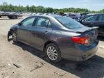 2010 Toyota Corolla Base Gray vin: 2T1BU4EE2AC461765